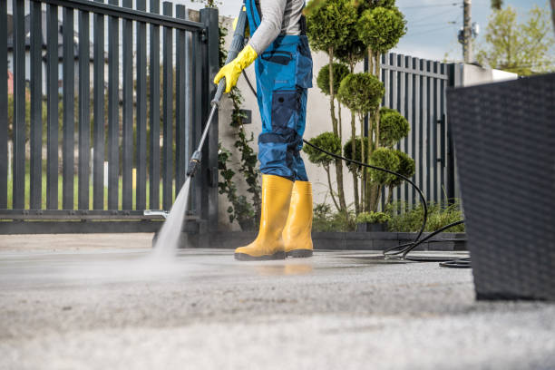 Best Graffiti Removal  in North Shore, VA