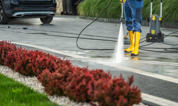 Professional Pressure Washing in North Shore, VA