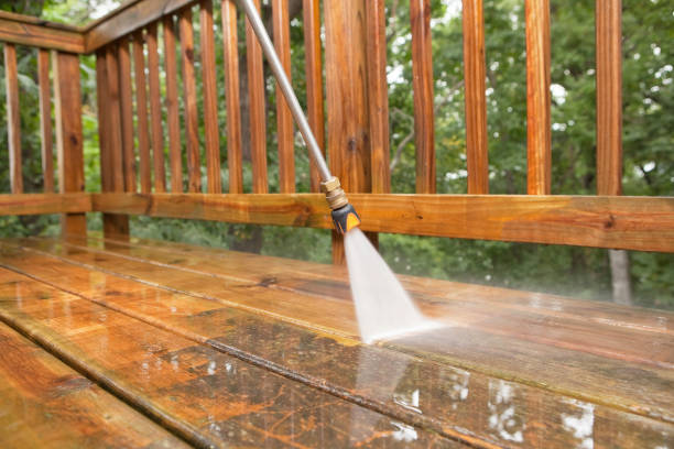 Best Boat and Dock Cleaning  in North Shore, VA
